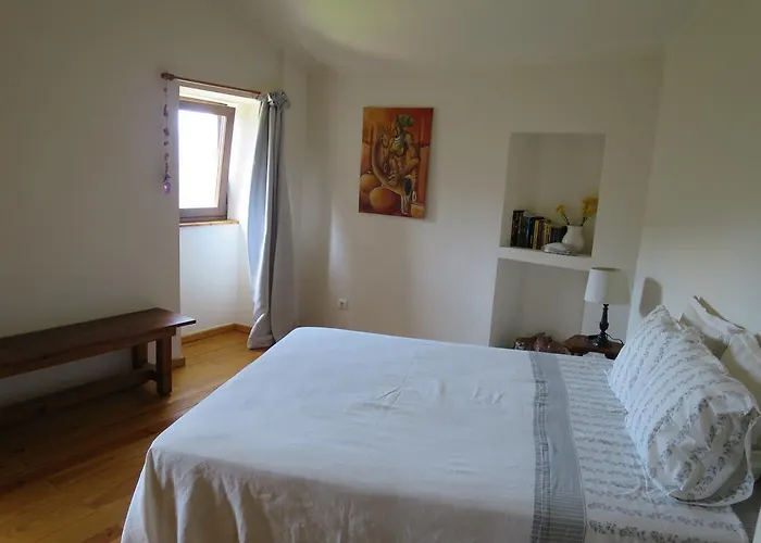 Feriehus Casa Oliveiras Colmeal (Coimbra)